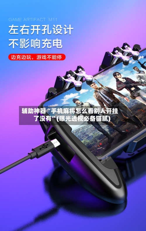 辅助神器“手机麻将怎么看别人开挂了没有”(曝光透视必备猫腻)-第3张图片