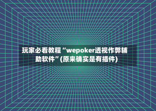 玩家必看教程“wepoker透视作弊辅助软件	”(原来确实是有插件)-第2张图片