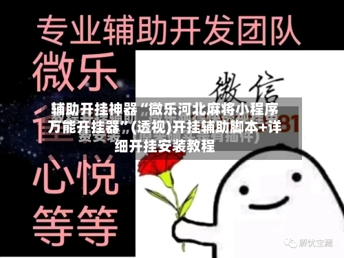 辅助开挂神器“微乐河北麻将小程序万能开挂器”(透视)开挂辅助脚本+详细开挂安装教程-第3张图片