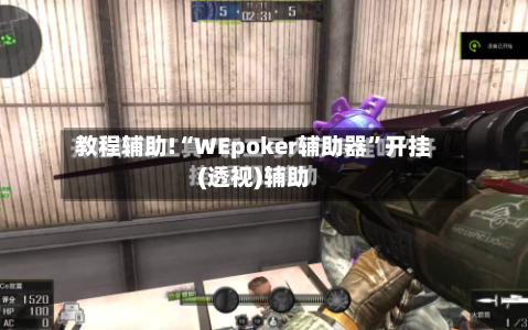 教程辅助!“WEpoker辅助器	”开挂(透视)辅助-第2张图片