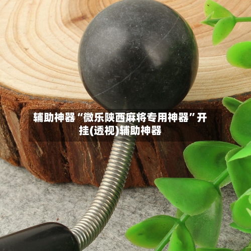辅助神器“微乐陕西麻将专用神器”开挂(透视)辅助神器-第2张图片