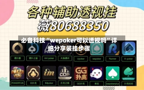 必备科技“wepoker可以透视吗”详细分享装挂步骤-第2张图片