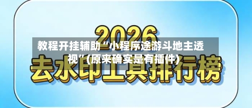教程开挂辅助“小程序途游斗地主透视”(原来确实是有插件)-第2张图片