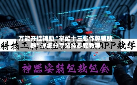 万能开挂辅助“掌酷十三张作弊辅助器”详细分享装挂步骤教程-第3张图片