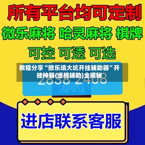 教程分享“微乐填大坑开挂辅助器”开挂神器{透视辅助}全揭秘-第2张图片