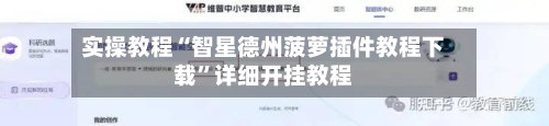 实操教程“智星德州菠萝插件教程下载	”详细开挂教程-第2张图片