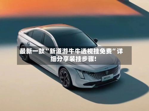 最新一款“新道游牛牛透视挂免费”详细分享装挂步骤!-第3张图片