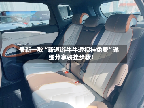 最新一款“新道游牛牛透视挂免费	”详细分享装挂步骤!-第2张图片