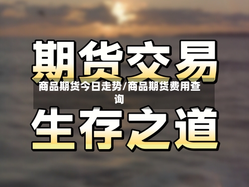 商品期货今日走势/商品期货费用查询-第2张图片