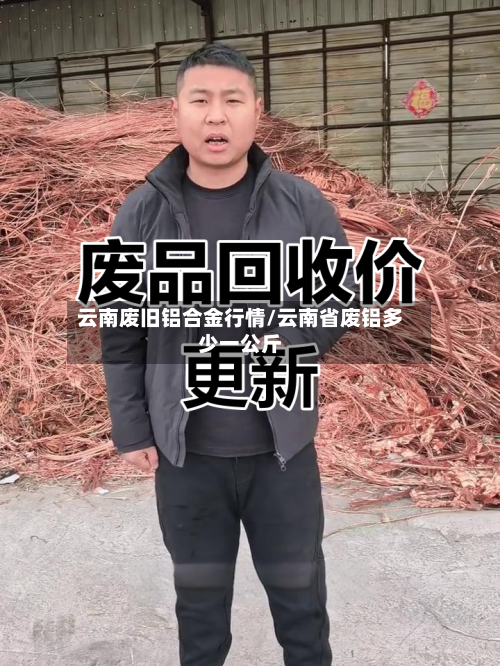 云南废旧铝合金行情/云南省废铝多少一公斤