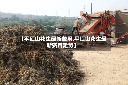 【平顶山花生最新费用,平顶山花生最新费用走势】-第3张图片