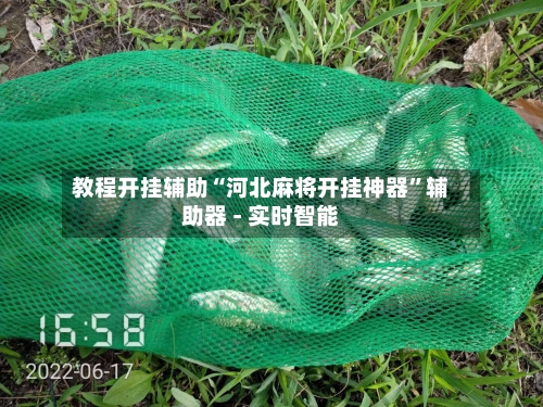 教程开挂辅助“河北麻将开挂神器”辅助器 - 实时智能-第3张图片