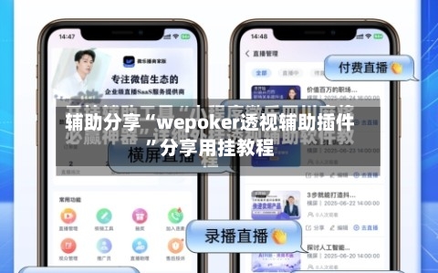 辅助分享“wepoker透视辅助插件”分享用挂教程-第3张图片