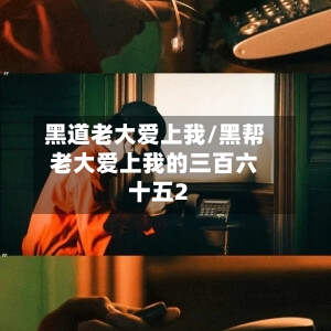 黑道老大爱上我/黑帮老大爱上我的三百六十五2-第3张图片