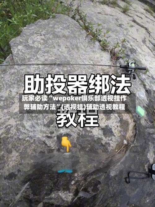 玩家必读“wepoker俱乐部透视挂作弊辅助方法”(透视挂)辅助透视教程-第3张图片