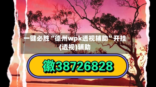 一键必胜“德州wpk透视辅助”开挂(透视)辅助-第3张图片