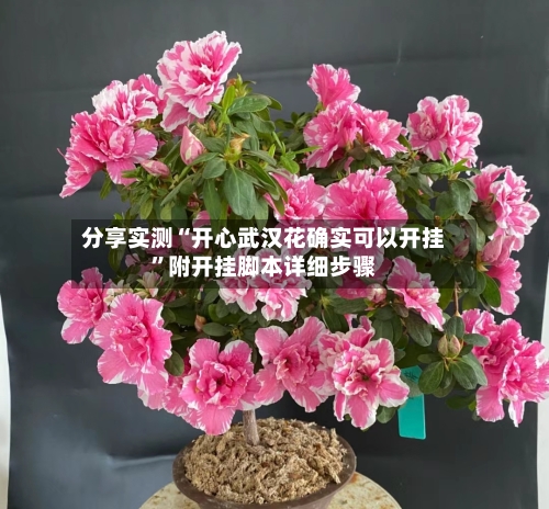 分享实测“开心武汉花确实可以开挂	”附开挂脚本详细步骤-第2张图片