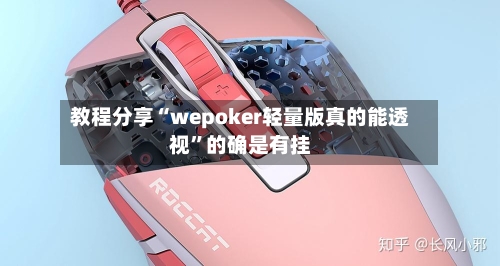 教程分享“wepoker轻量版真的能透视	”的确是有挂-第3张图片