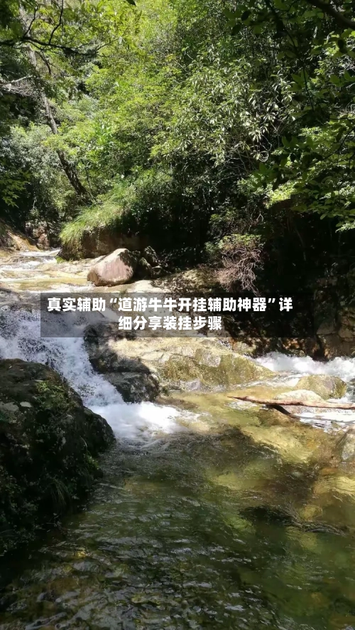 真实辅助“道游牛牛开挂辅助神器”详细分享装挂步骤-第2张图片