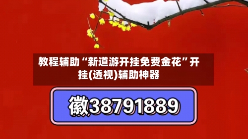 教程辅助“新道游开挂免费金花”开挂(透视)辅助神器