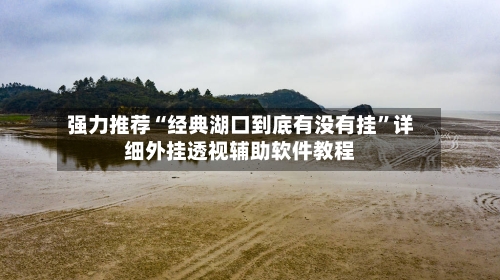 强力推荐“经典湖口到底有没有挂”详细外挂透视辅助软件教程-第3张图片