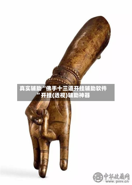 真实辅助“佛手十三道开挂辅助软件	”开挂(透视)辅助神器-第2张图片