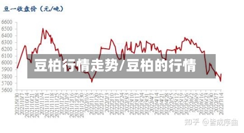 豆柏行情走势/豆柏的行情