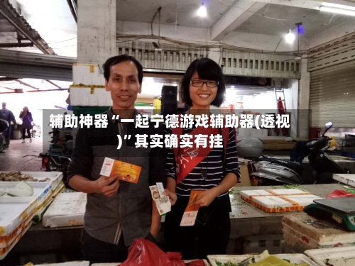 辅助神器“一起宁德游戏辅助器(透视)”其实确实有挂-第2张图片