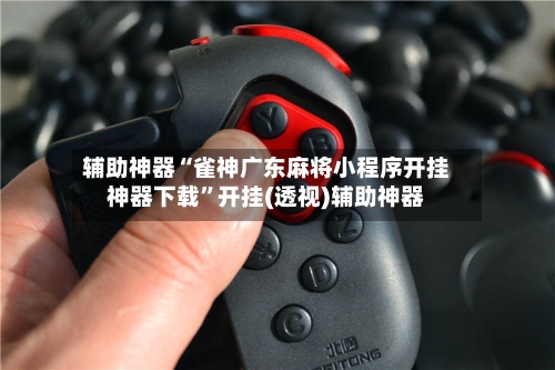 辅助神器“雀神广东麻将小程序开挂神器下载”开挂(透视)辅助神器-第2张图片