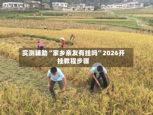 实测辅助“家乡亲友有挂吗”2026开挂教程步骤