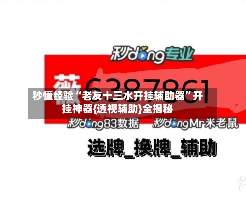 秒懂经验“老友十三水开挂辅助器”开挂神器{透视辅助}全揭秘-第2张图片