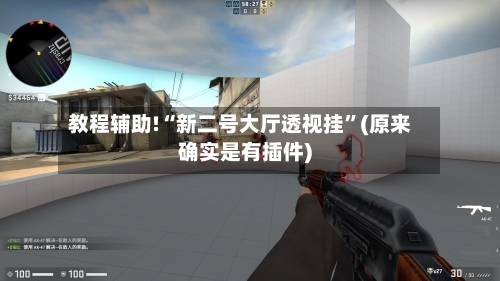 教程辅助!“新二号大厅透视挂	”(原来确实是有插件)-第3张图片