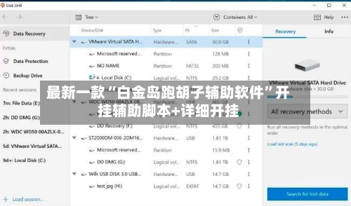 最新一款“白金岛跑胡子辅助软件”开挂辅助脚本+详细开挂-第3张图片