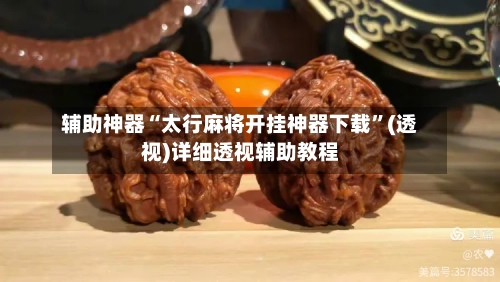 辅助神器“太行麻将开挂神器下载	”(透视)详细透视辅助教程-第3张图片