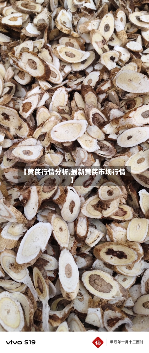 【黄芪行情分析,最新黄芪市场行情】-第3张图片