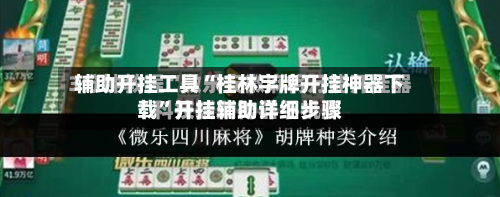 辅助开挂工具“桂林字牌开挂神器下载”开挂辅助详细步骤-第3张图片