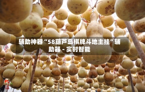 辅助神器“58葫芦岛棋牌斗地主挂	”辅助器 - 实时智能-第2张图片