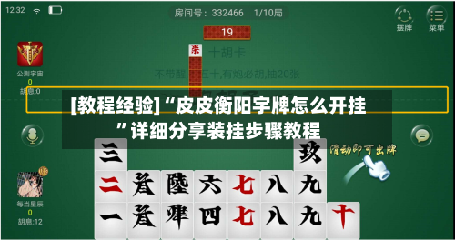 [教程经验]“皮皮衡阳字牌怎么开挂”详细分享装挂步骤教程-第3张图片