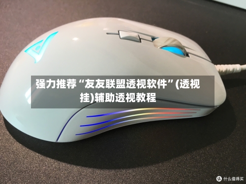 强力推荐“友友联盟透视软件”(透视挂)辅助透视教程-第2张图片