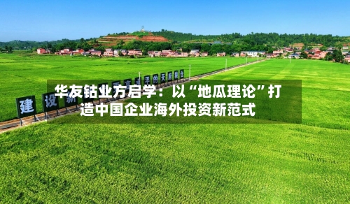 华友钴业方启学：以“地瓜理论”打造中国企业海外投资新范式-第2张图片