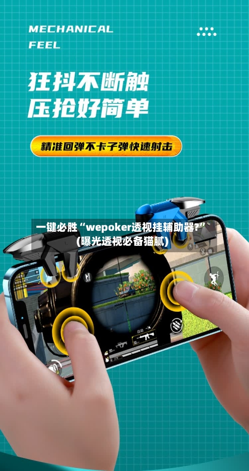 一键必胜“wepoker透视挂辅助器?”(曝光透视必备猫腻)-第2张图片