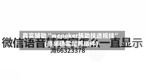 真实辅助“wepoker辅助挂透视挂	”(原来确实是有插件)-第2张图片