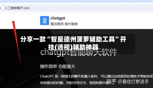 分享一款“智星德州菠萝辅助工具”开挂(透视)辅助神器-第3张图片