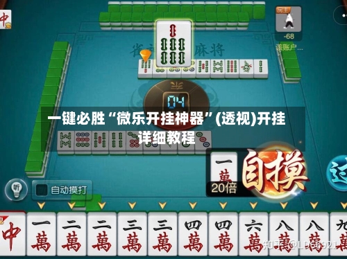 一键必胜“微乐开挂神器	”(透视)开挂详细教程-第2张图片