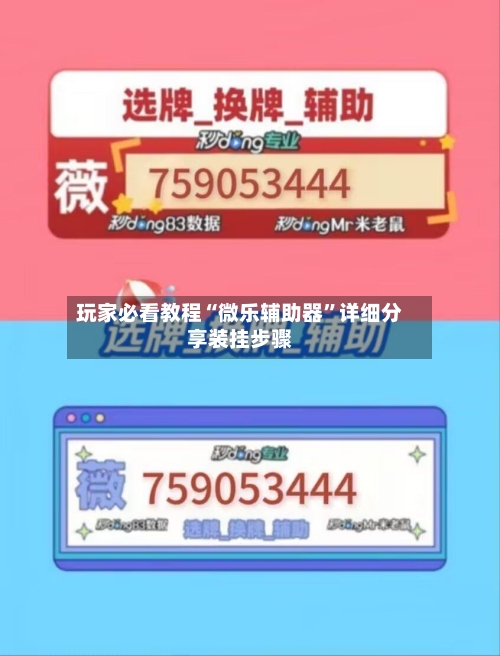 玩家必看教程“微乐辅助器”详细分享装挂步骤-第2张图片
