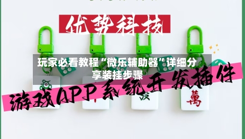 玩家必看教程“微乐辅助器	”详细分享装挂步骤-第3张图片