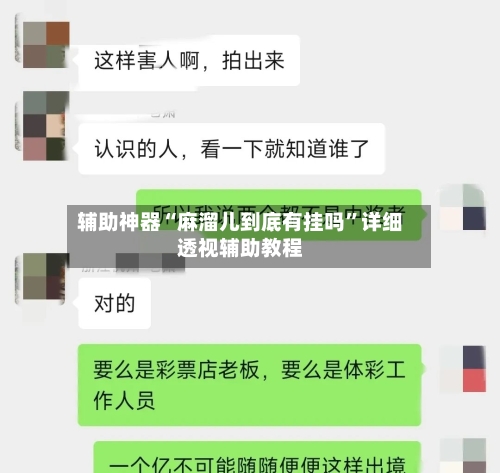 辅助神器“麻溜儿到底有挂吗”详细透视辅助教程