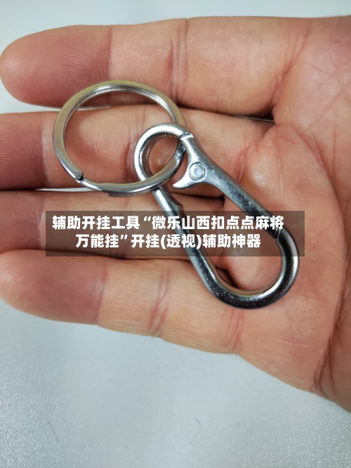 辅助开挂工具“微乐山西扣点点麻将万能挂	”开挂(透视)辅助神器-第2张图片