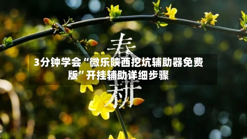 3分钟学会“微乐陕西挖坑辅助器免费版”开挂辅助详细步骤-第3张图片