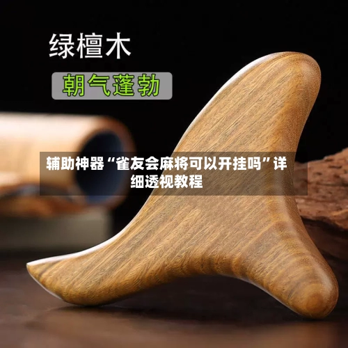 辅助神器“雀友会麻将可以开挂吗”详细透视教程-第2张图片